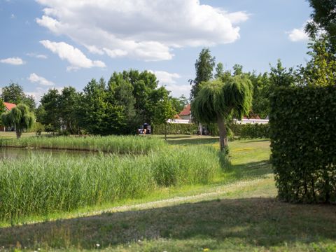 Resort Boschmolenplas - Maasgouw - Image N°2