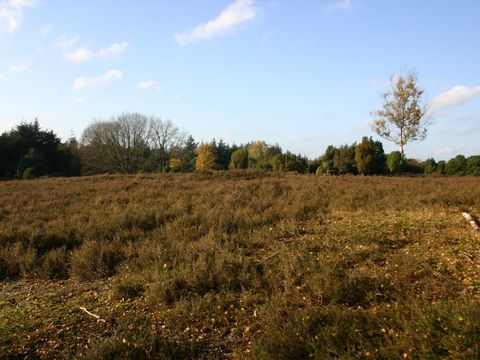Hof van Salland - Hellendoorn - Image N°18