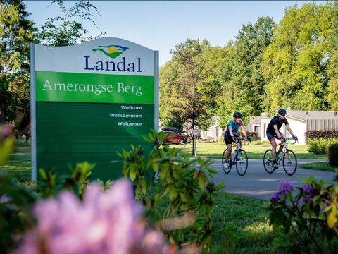 Landal Amerongse Berg - Utrechtse Heuvelrug