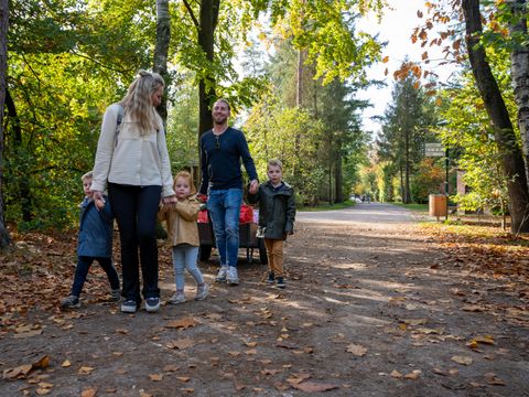 Recreatiepark De Paalberg - Ermelo - Image N°5