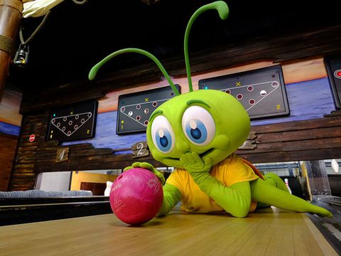 Park Molenheide - Belgian Limburg