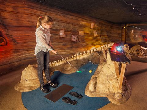 Park Molenheide - Belgian Limburg