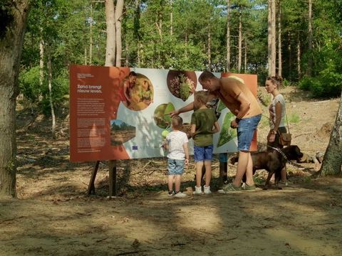 Park Molenheide - Belgian Limburg