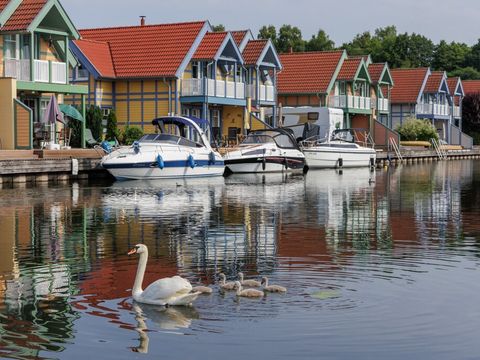 Landal Hafendorf Rheinsberg - Brandenburg - Image N°35