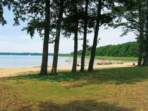 Landal Hafendorf Rheinsberg - Brandenburg - Image N°25