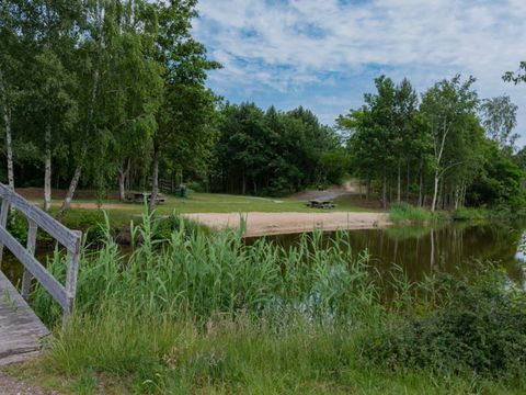 %strongStart%Aquatic%strongEnd% area