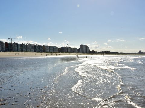 Holiday Suites Westende - West Flanders - Image N°13
