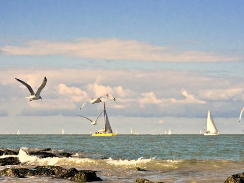 Holiday Suites Westende - West Flanders - Image N°12
