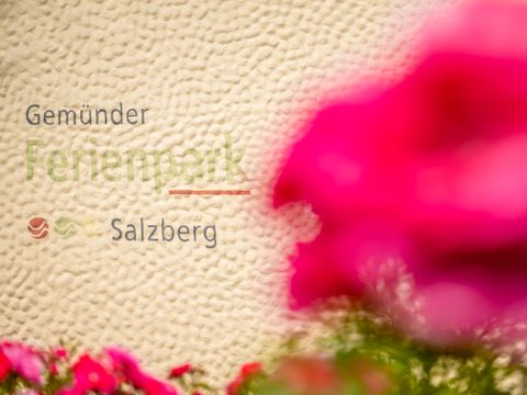 Gemünder Ferienpark Salzberg - Rhineland-Palatinate - Image N°28