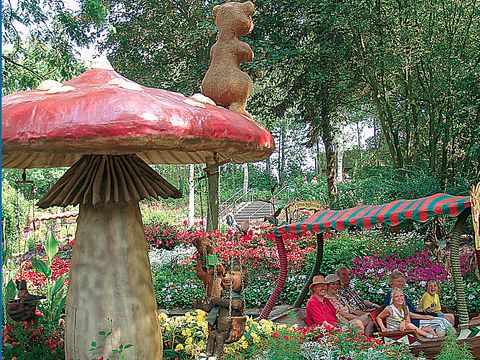 Landal Hansa Park - Schleswig-Holstein - Image N°17