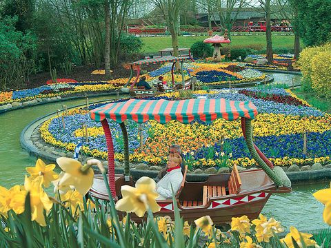 Landal Hansa Park - Schleswig-Holstein - Image N°18