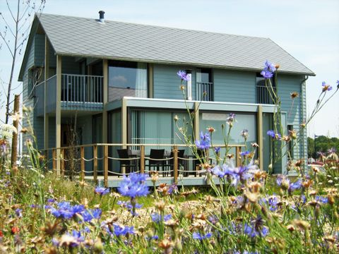 Golden Lakes Village - Henegouwen - Image N°15