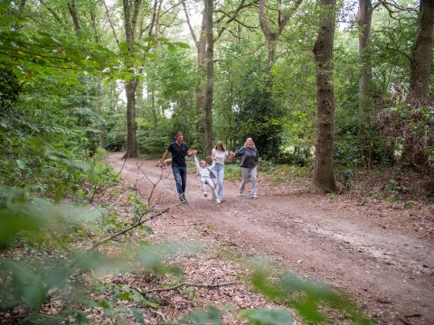 TopParken Recreatiepark de Wielerbaan - Wageningen - Image N°14