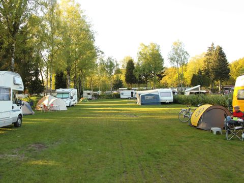 TopParken Recreatiepark de Wielerbaan - Wageningen - Image N°21