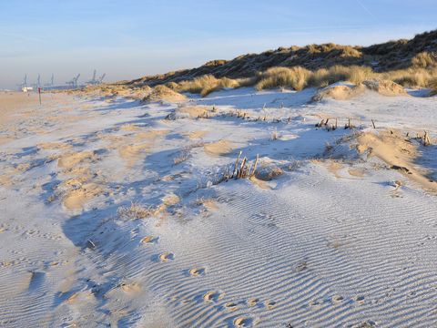 Holiday Suites Zeebrugge - West Flanders - Image N°23