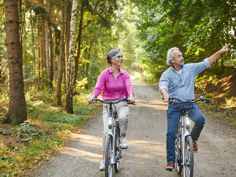 Landal Waterpark Sneekermeer - Friesische Seen