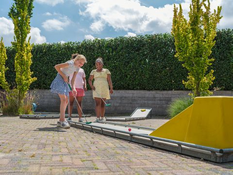 Vakantiepark Ackersate - Barneveld - Image N°3