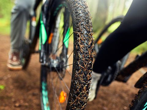 Center Parcs Les Ardennes - Belgian Luxembourg