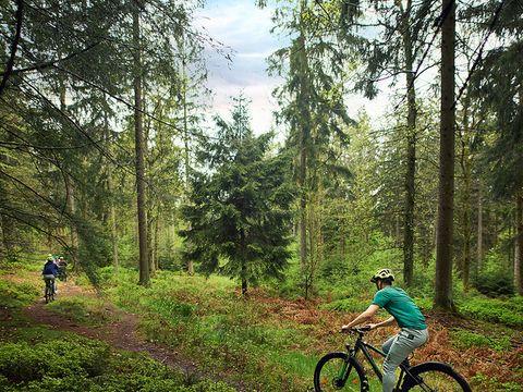 Center Parcs Les Ardennes - Belgian Luxembourg