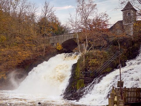 Center Parcs Les Ardennes - Belgian Luxembourg - Image N°2