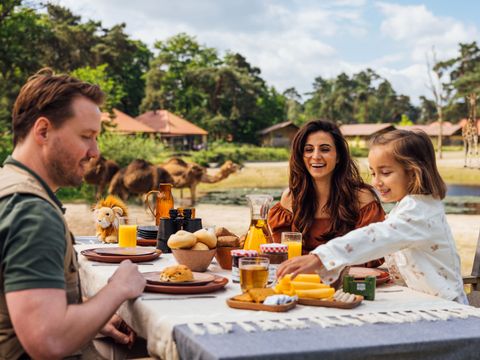 Safari Resort Beekse Bergen - Hilvarenbeek