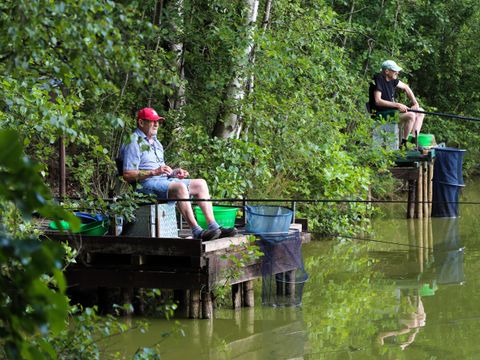 Camping Baalse Hei - Antwerp