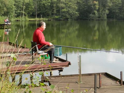 Camping Baalse Hei - Antwerp