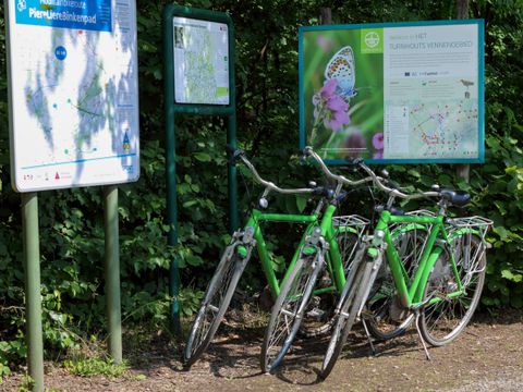 Camping Baalse Hei - Antwerp