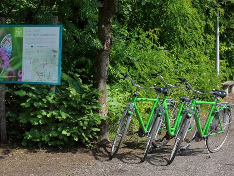 Camping Baalse Hei - Antwerp