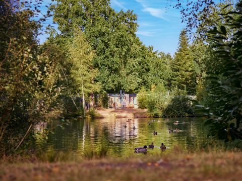Center Parcs Park Nordseeküste - Camping Lower Saxony - Image N°3