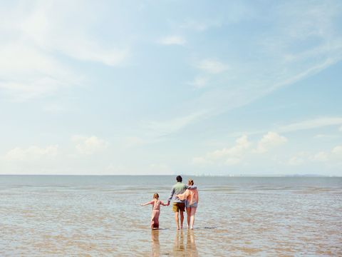 Center Parcs Park Nordseeküste - Lower Saxony - Image N°4