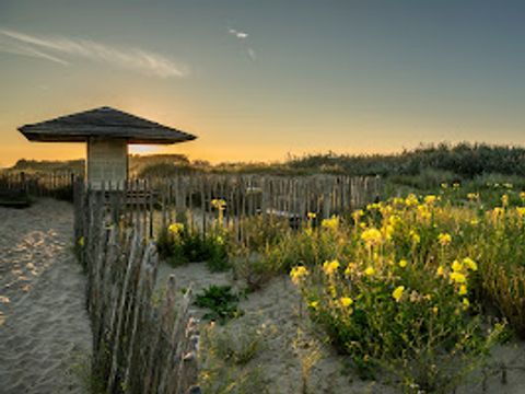 Verblijfpark Beachside - West Flanders - Image N°42