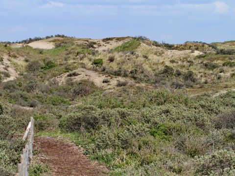 Vakantiepark Duinrust - Noordwijk - Image N°12