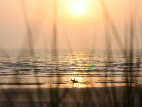 Vakantiepark Duinrust - Noordwijk - Image N°10