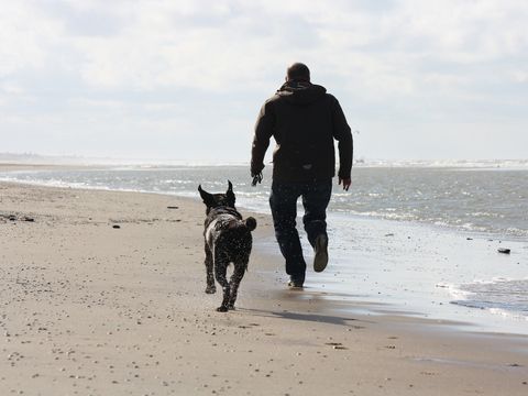 Vakantiepark Duinrust - Noordwijk - Image N°19
