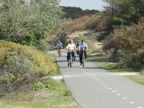 Vakantiepark Duinrust - Noordwijk - Image N°13