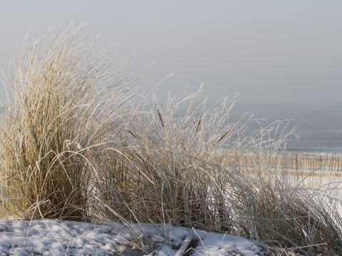 Vakantiepark Duinrust - Noordwijk - Image N°18
