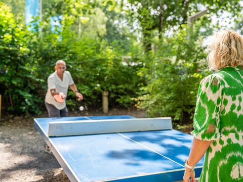 TopParken Recreatiepark Beekbergen - Apeldoorn