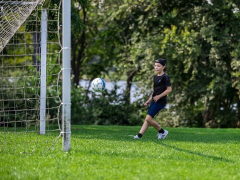 Landal De Vlinderhoeve - Lochem
