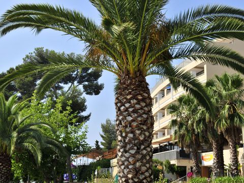 Pierre & Vacances Résidence Bandol Port - Camping Var - Image N°4