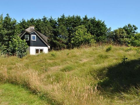 Texel Treasures - Texel - Image N°8