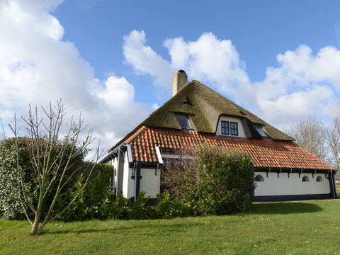 Texel Treasures - Texel - Image N°14