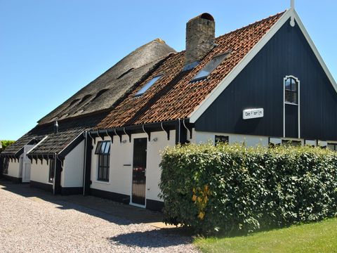 Texel Treasures - Texel - Image N°12