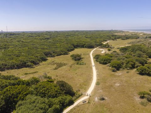 Landal Vakantiepark Bos en Duin - Veere - Image N°5