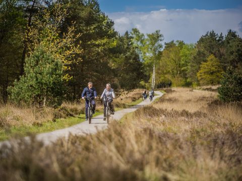 De Rimboe & Woeste Hoogte - Apeldoorn