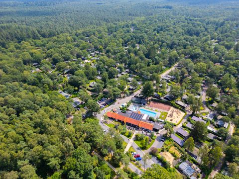 De Rimboe & Woeste Hoogte - Apeldoorn - Image N°3