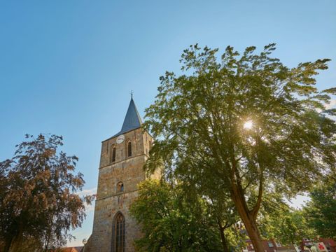 Ferienpark Grafschaft Bentheim - Lower Saxony - Image N°29