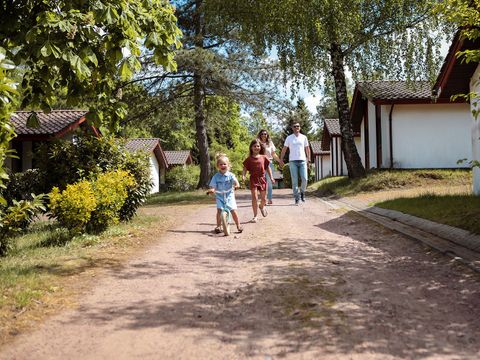 Ferienpark Grafschaft Bentheim - Lower Saxony - Image N°14