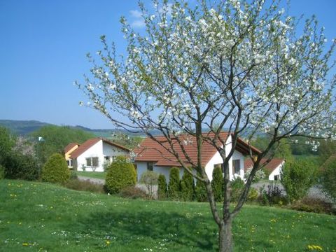 Ferienhaus Uslar GmbH - Camping Lower Saxony - Image N°2