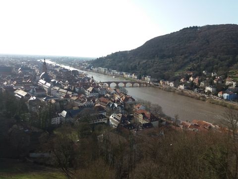 Feriendorf Waldbrunn - Baden-Württemberg - Image N°30